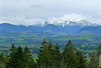 Blick auf die Alpen vom Taubenberg