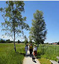 Die Wohnfrauen bei der Wanderung am Staffelsee