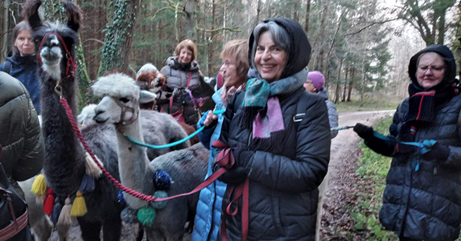 Frohe Gesichter der Frauen bei der Alpakaführung durch den Wald