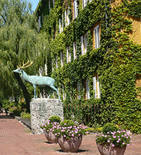 Blick auf begrünte Häuser und ein Hirschdenkmal in der Borstei