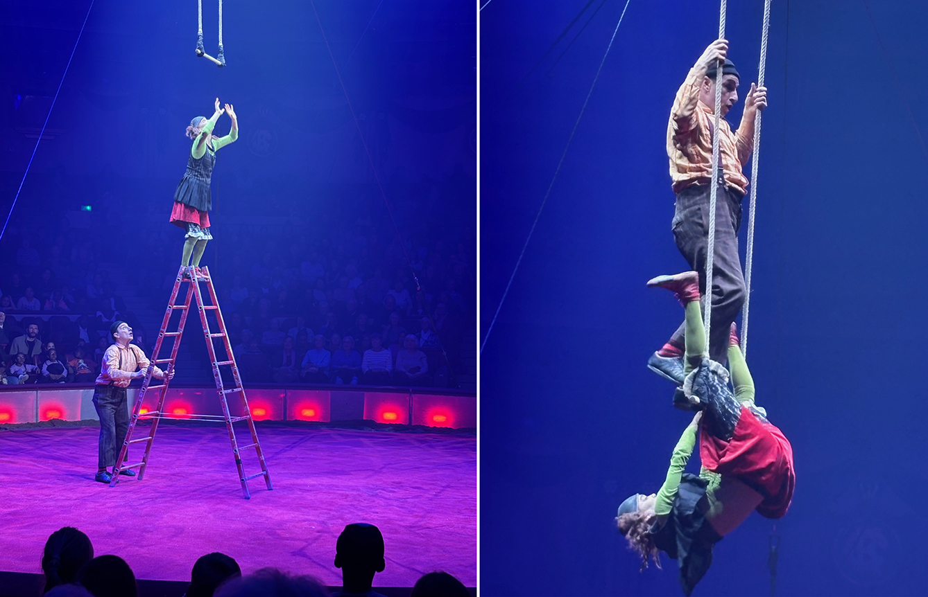 2 Clowns in bunten Kostüm bezaubern durch Ihre Akrobatik, mit Leiter und auf dem Trapez