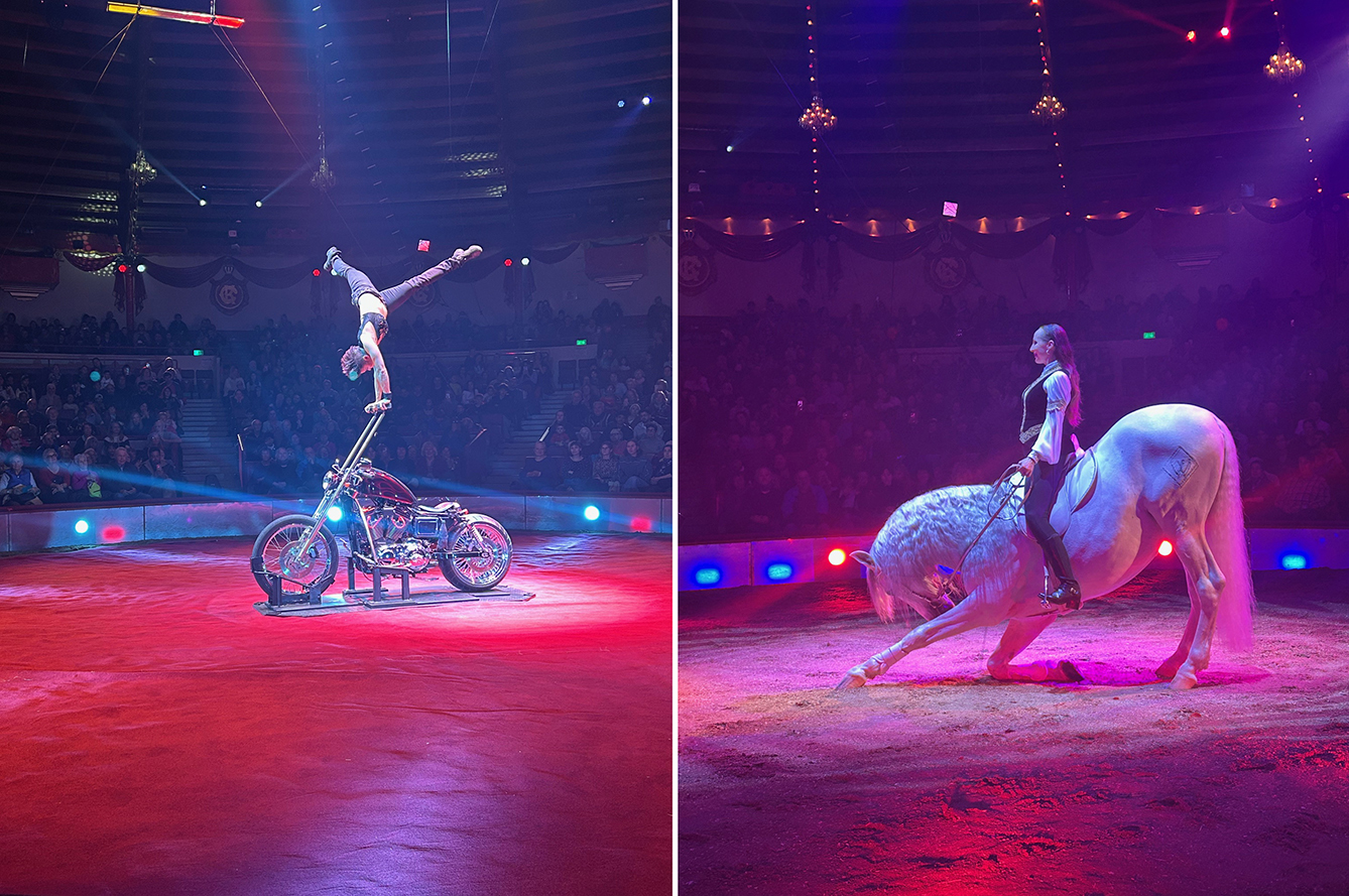 Körperbeherrschung auf dem stehenden Motorrad, Dressurreiterin: das Pferd verbeugt sich