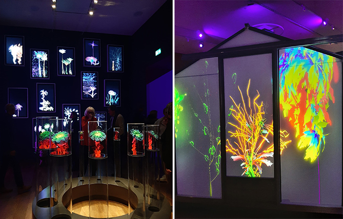 digitale und habtisch erlebbare Pflanzengebilde