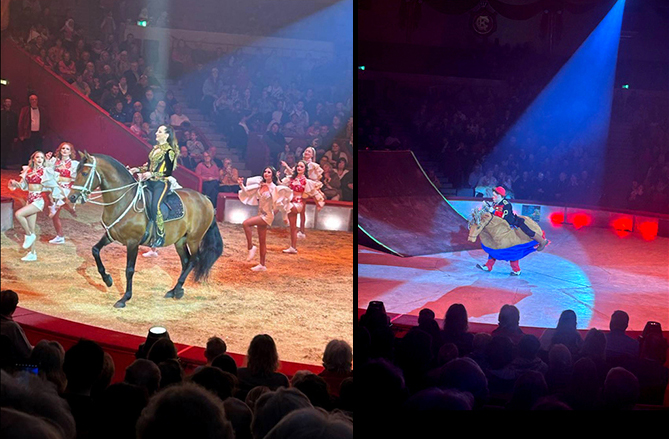 der stolze Hengst und der kleine Clown mit Stoffpferd