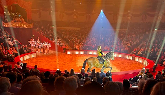 Pferd mit Dressurreiterin in der orangeausgeleuchteten Manege