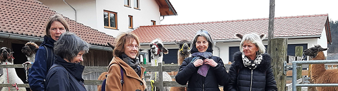 Die Gruppe und die Lamas im Portraits 