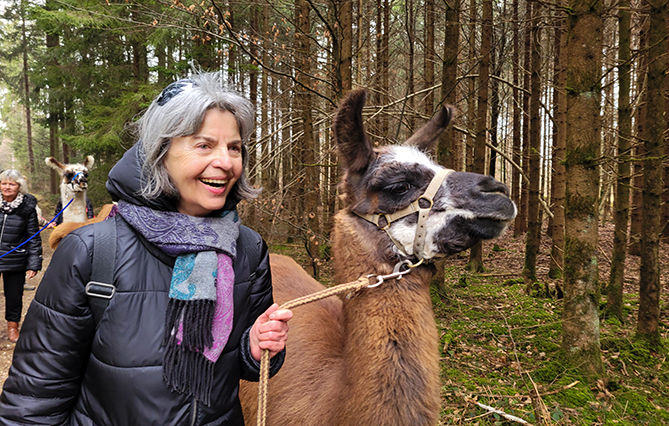 Erfrischender Spaziergang mit Lama durch den Wald 