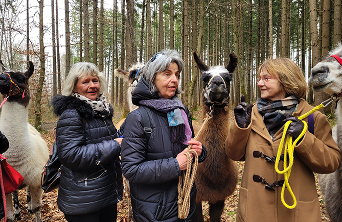 Die Gruppe und die Lamas gönnen sich eine kurze Rast im Wald