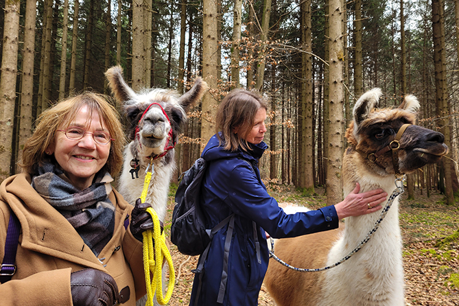 Streicheleinheiten für das LAma 