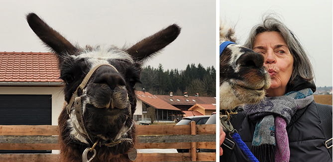 Ein Lama guckt frontal in die Kamera und unsere Wohnfreu spitzt den Mund für ein luftiges Küsschen 