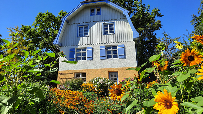 Blick auf das Münterhaus voGarten mit blühenden Sonnenblumen im Vordergrund