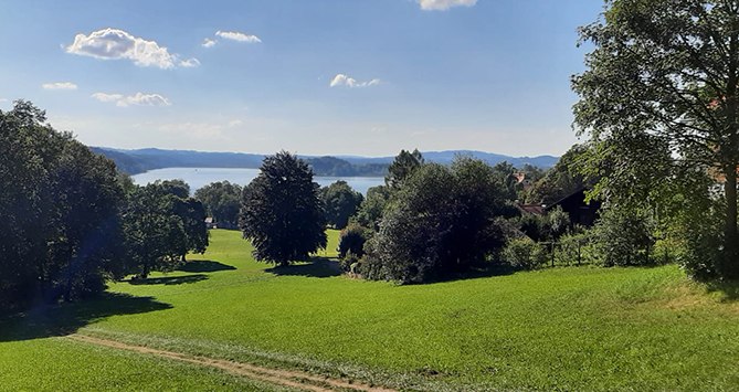 Blick über Wiesen zum Staffelsee