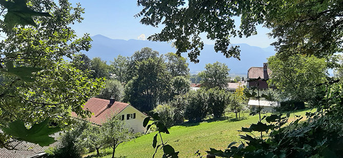 Blick durch Bäume auf Bauernhäuser und Berge