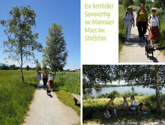 WAnderung durch das Murnauer Moos mit den Frauen des Fördervereins Nachbarschaftlich leben für Frauen im Alter e.V.