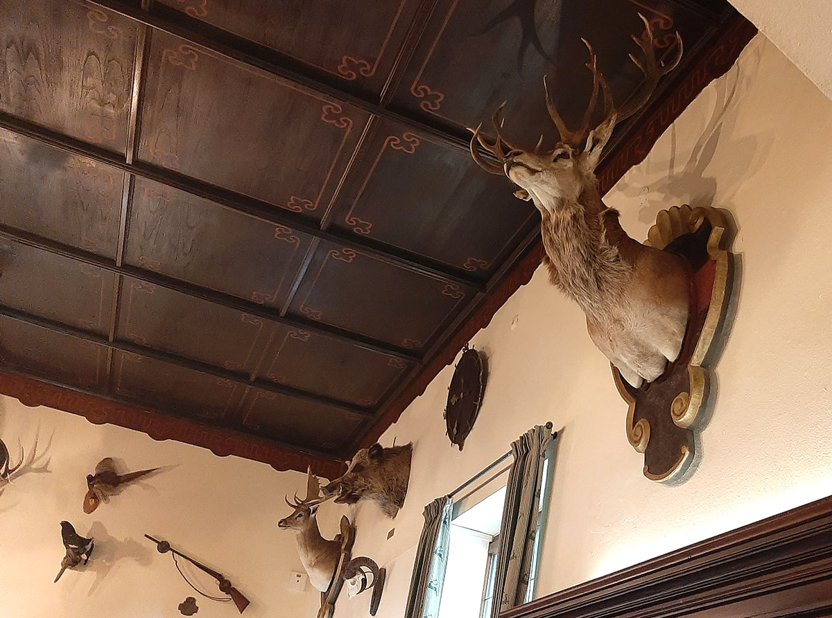 Hirschgeweihe und Gewehre als Schmuck an den Wänden des Jägerstüberls
